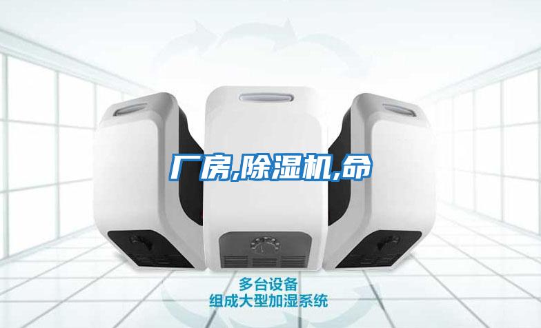 廠(chǎng)房,除濕機,命