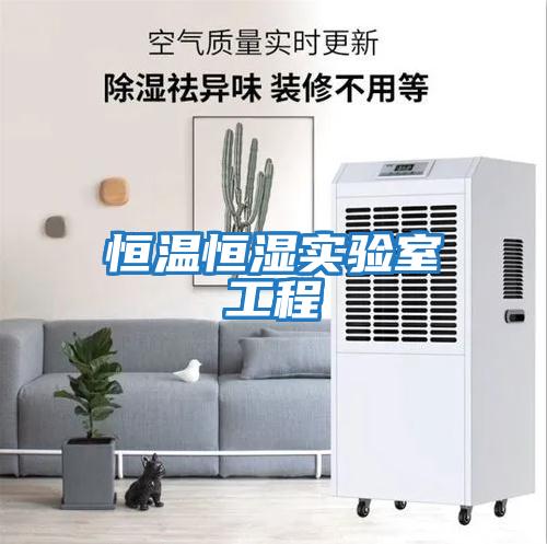 恒溫恒濕實(shí)驗室工程