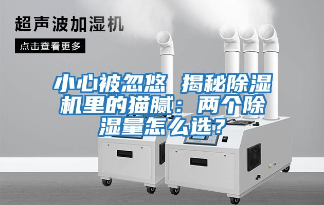 小心被忽悠 揭秘除濕機里的貓膩：兩個(gè)除濕量怎么選？