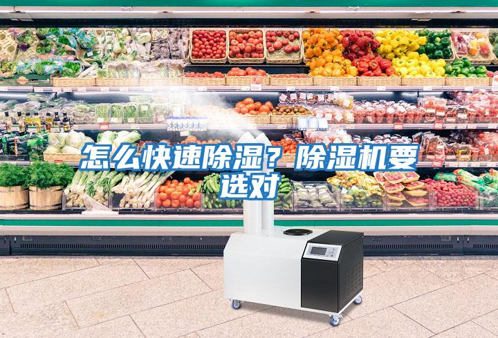 怎么快速除濕？除濕機要選對