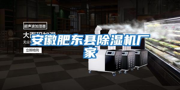 安徽肥東縣除濕機廠(chǎng)家