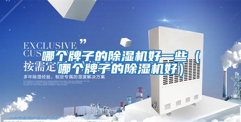 哪個(gè)牌子的除濕機好一些（哪個(gè)牌子的除濕機好）