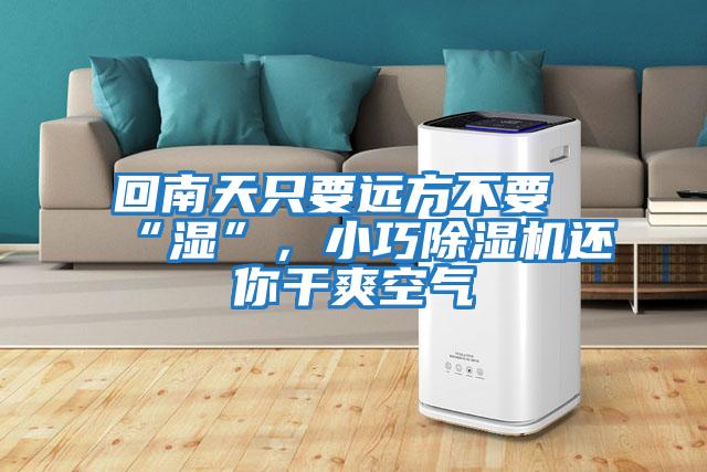 回南天只要遠方不要“濕”，小巧除濕機還你干爽空氣