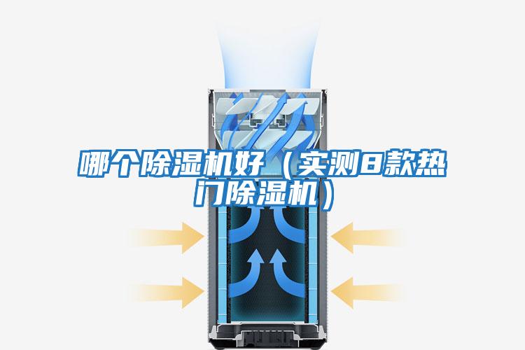 哪個(gè)除濕機好（實(shí)測8款熱門(mén)除濕機）