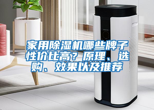 家用除濕機哪些牌子性?xún)r(jià)比高？原理、選購、效果以及推薦