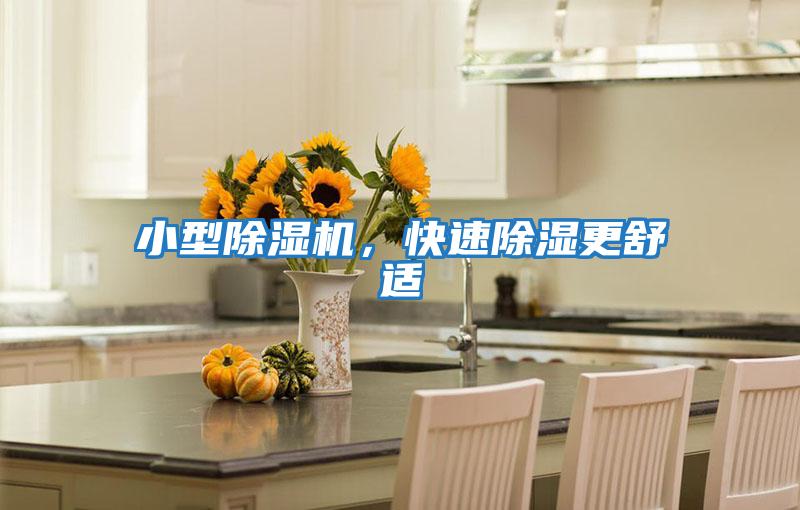 小型除濕機，快速除濕更舒適