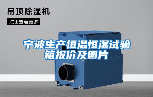 寧波生產(chǎn)恒溫恒濕試驗箱報價(jià)及圖片