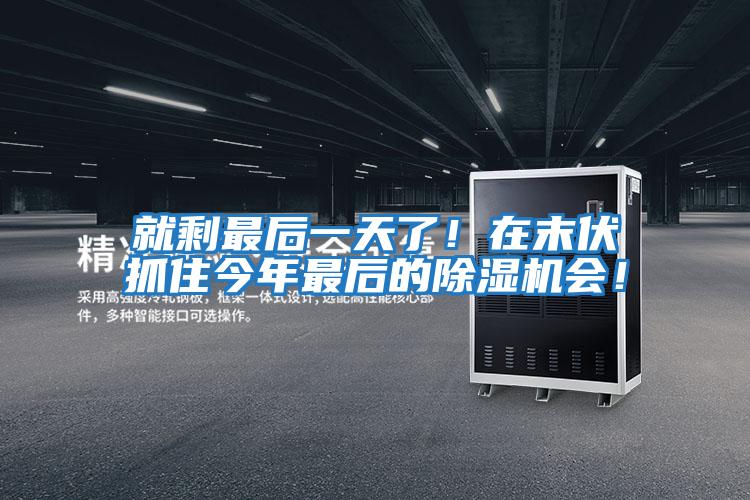 就剩最后一天了！在末伏抓住今年最后的除濕機會(huì )！
