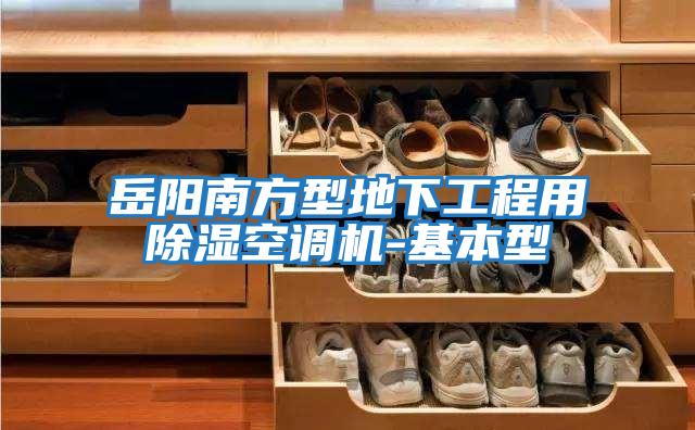 岳陽(yáng)南方型地下工程用除濕空調機-基本型