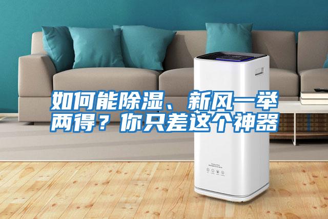 如何能除濕、新風(fēng)一舉兩得？你只差這個(gè)神器