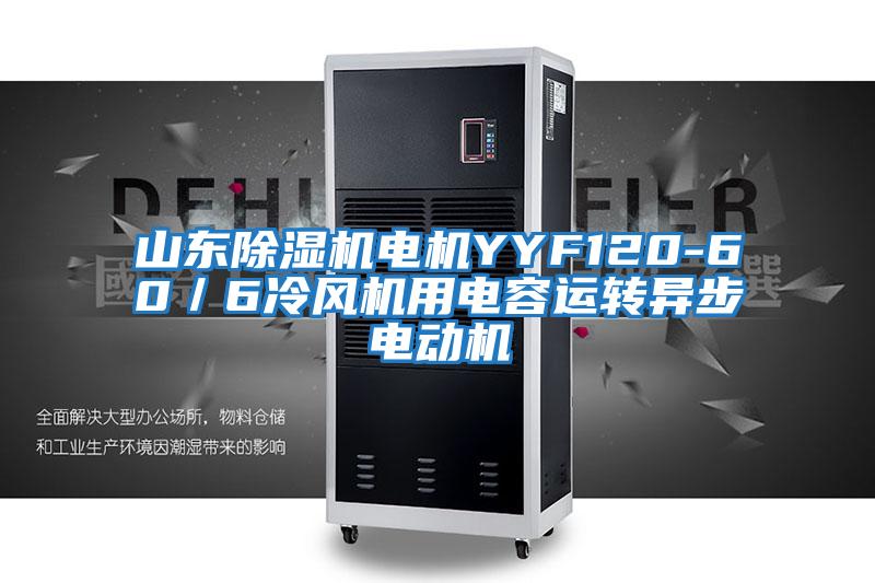 山東除濕機電機YYF120-60／6冷風(fēng)機用電容運轉異步電動(dòng)機