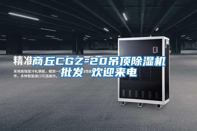 商丘CGZ-20吊頂除濕機批發(fā) 歡迎來(lái)電