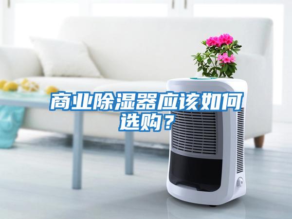 商業(yè)除濕器應該如何選購？