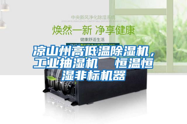 涼山州高低溫除濕機，工業(yè)抽濕機  恒溫恒濕非標機器