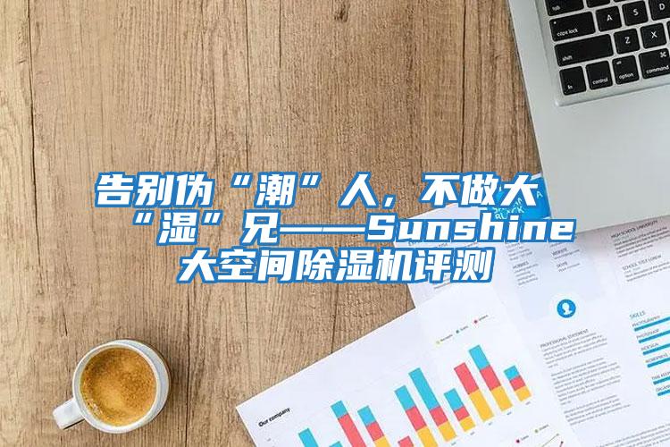 告別偽“潮”人，不做大“濕”兄——Sunshine大空間除濕機評測