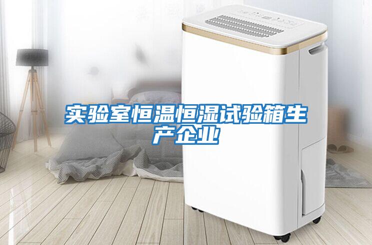 實(shí)驗室恒溫恒濕試驗箱生產(chǎn)企業(yè)