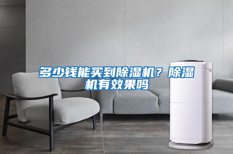 多少錢(qián)能買(mǎi)到除濕機？除濕機有效果嗎
