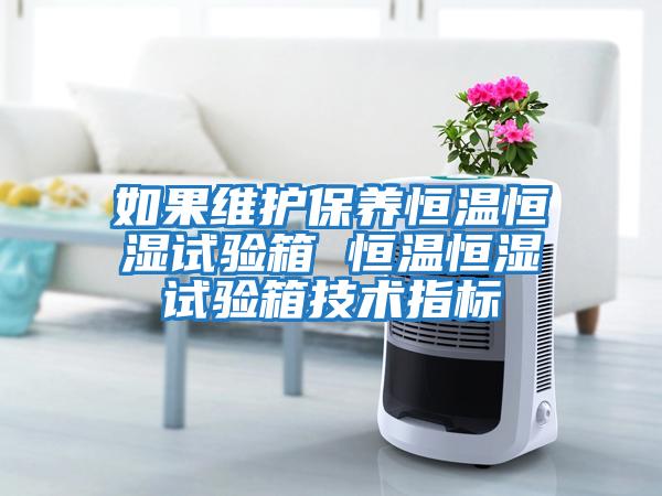 如果維護保養恒溫恒濕試驗箱 恒溫恒濕試驗箱技術(shù)指標