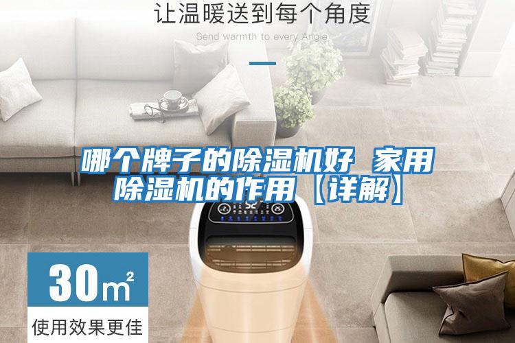 哪個(gè)牌子的除濕機好 家用除濕機的作用【詳解】