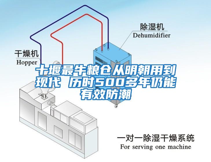 十堰最牛糧倉從明朝用到現代 歷時(shí)500多年仍能有效防潮