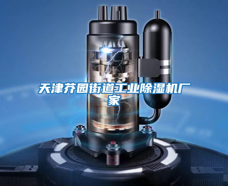 天津芥園街道工業(yè)除濕機廠(chǎng)家
