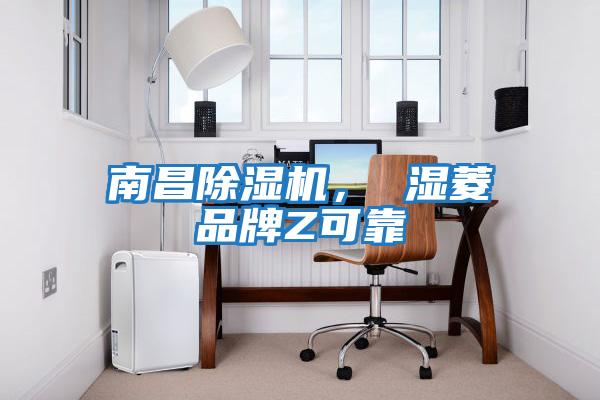 南昌除濕機， 濕菱品牌Z可靠
