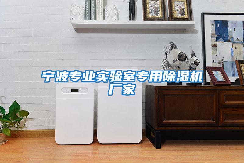 寧波專(zhuān)業(yè)實(shí)驗室專(zhuān)用除濕機廠(chǎng)家