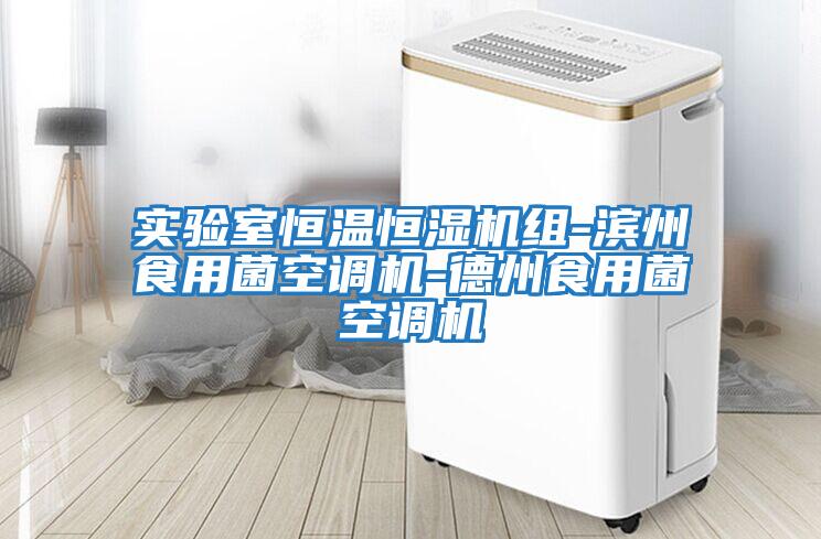 實(shí)驗室恒溫恒濕機組-濱州食用菌空調機-德州食用菌空調機
