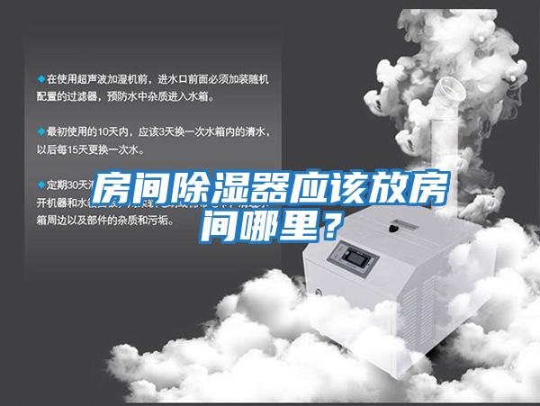 房間除濕器應該放房間哪里？