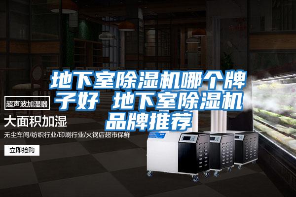 地下室除濕機哪個(gè)牌子好 地下室除濕機品牌推薦