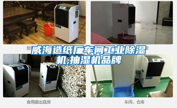 威海造紙廠(chǎng)車(chē)間工業(yè)除濕機,抽濕機品牌