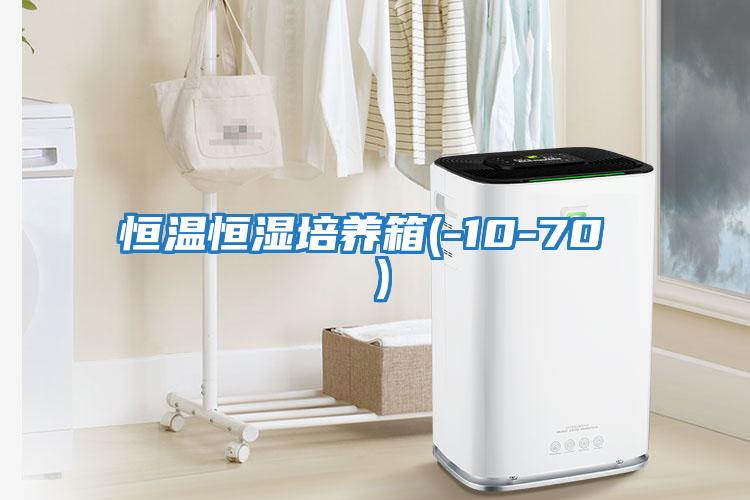 恒溫恒濕培養箱(-10-70 ℃）