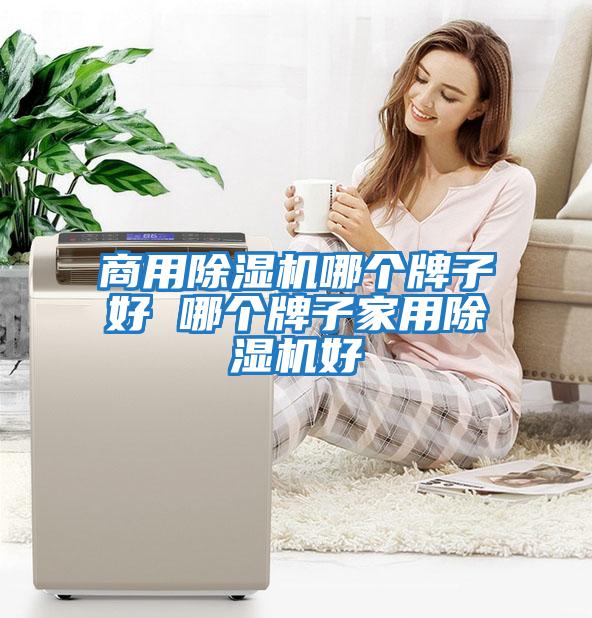 商用除濕機哪個(gè)牌子好 哪個(gè)牌子家用除濕機好