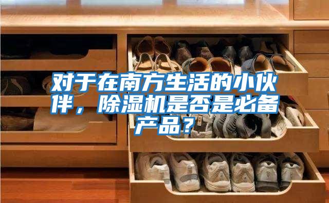 對于在南方生活的小伙伴，除濕機是否是必備產(chǎn)品？