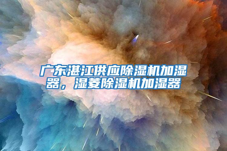 廣東湛江供應除濕機加濕器，濕菱除濕機加濕器