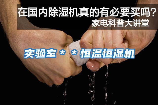 實(shí)驗室＊＊恒溫恒濕機
