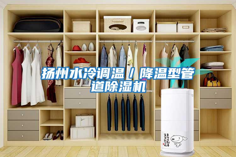 揚州水冷調溫／降溫型管道除濕機
