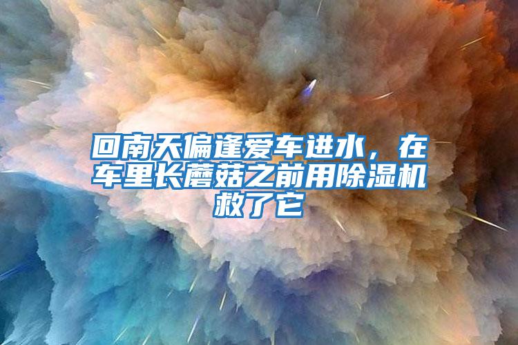 回南天偏逢愛(ài)車(chē)進(jìn)水，在車(chē)里長(cháng)蘑菇之前用除濕機救了它