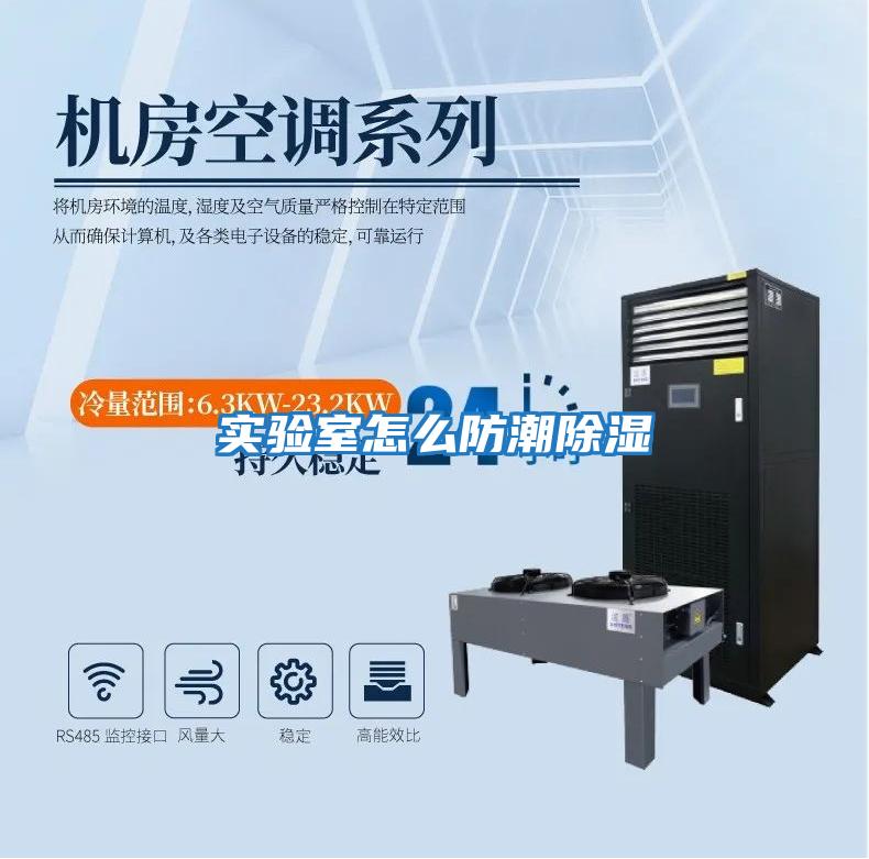實(shí)驗室怎么防潮除濕