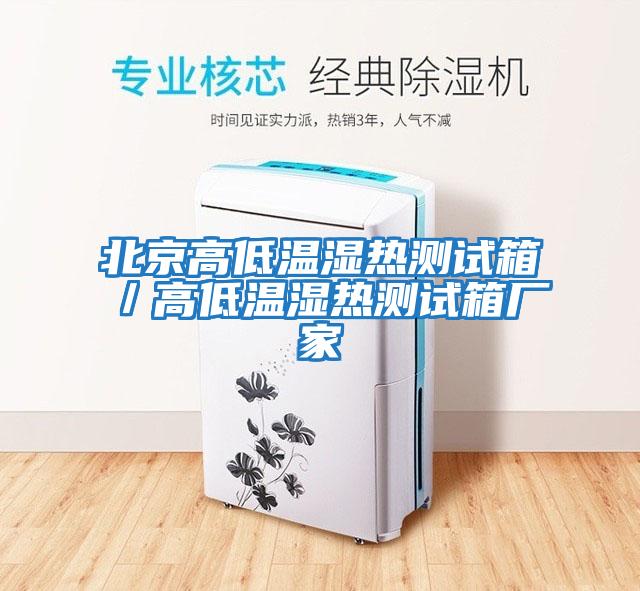 北京高低溫濕熱測試箱／高低溫濕熱測試箱廠(chǎng)家