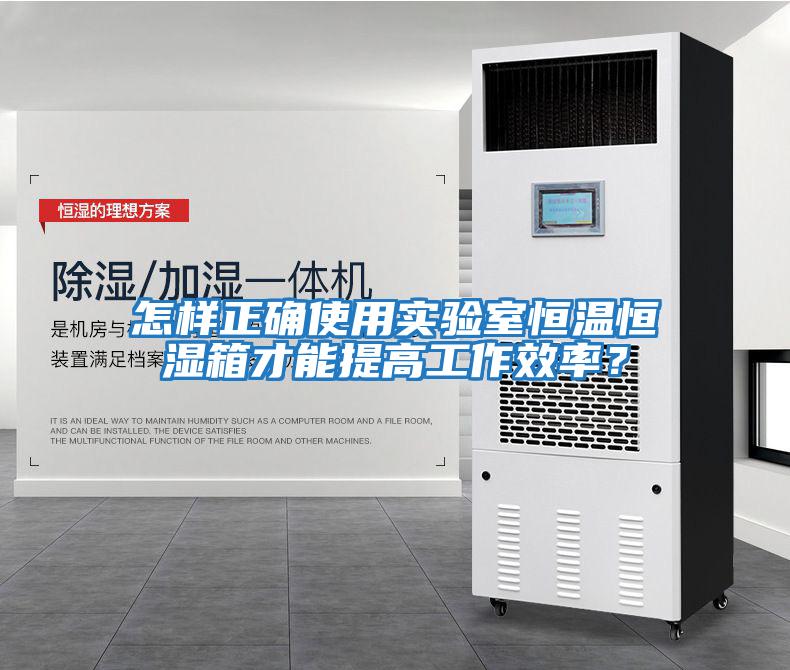 怎樣正確使用實(shí)驗室恒溫恒濕箱才能提高工作效率？