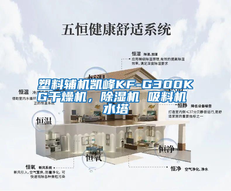 塑料輔機凱峰KF-G300KG干燥機，除濕機 吸料機 水塔