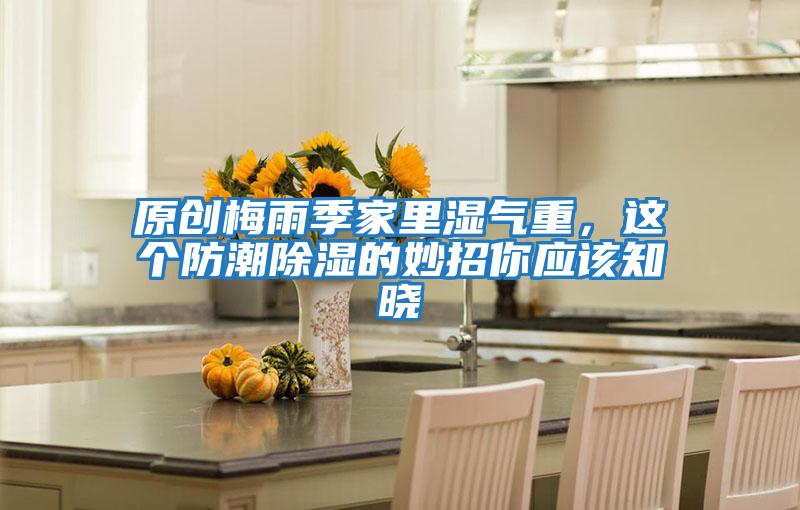 原創(chuàng  )梅雨季家里濕氣重，這個(gè)防潮除濕的妙招你應該知曉