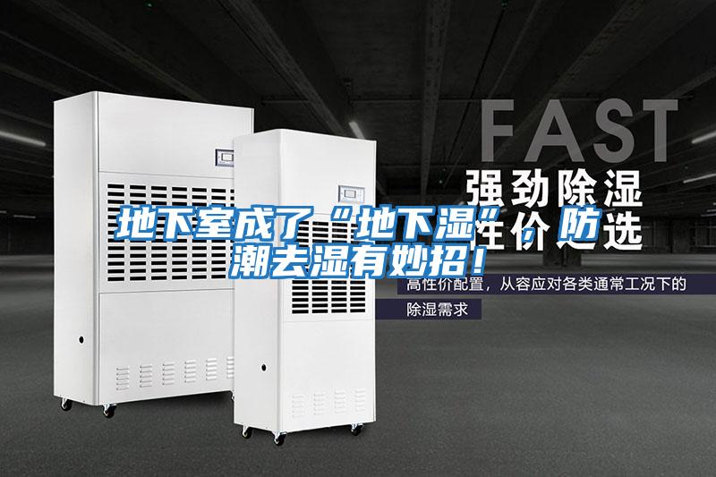 地下室成了“地下濕”，防潮去濕有妙招！