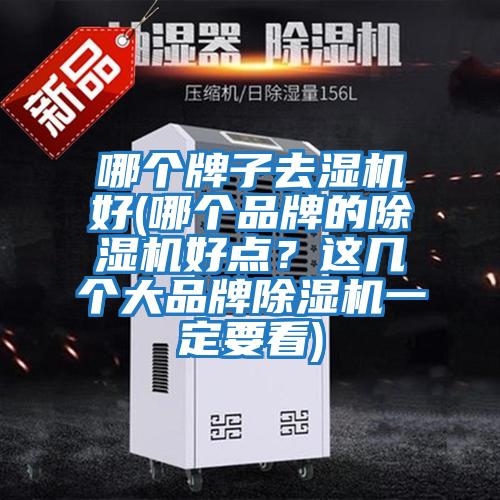哪個(gè)牌子去濕機好(哪個(gè)品牌的除濕機好點(diǎn)？這幾個(gè)大品牌除濕機一定要看)