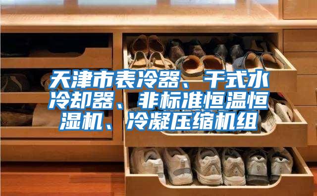 天津市表冷器、干式水冷卻器、非標準恒溫恒濕機、冷凝壓縮機組