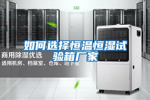 如何選擇恒溫恒濕試驗箱廠(chǎng)家