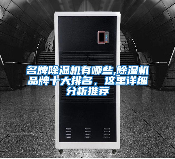 名牌除濕機有哪些,除濕機品牌十大排名，這里詳細分析推薦