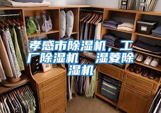 孝感市除濕機，工廠(chǎng)除濕機  濕菱除濕機