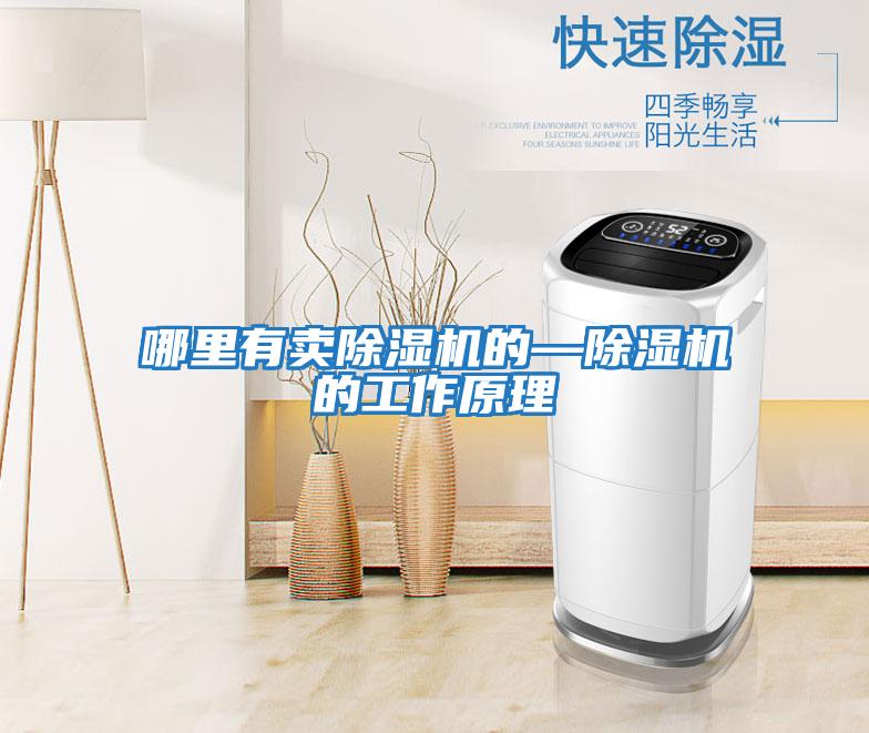 哪里有賣(mài)除濕機的—除濕機的工作原理